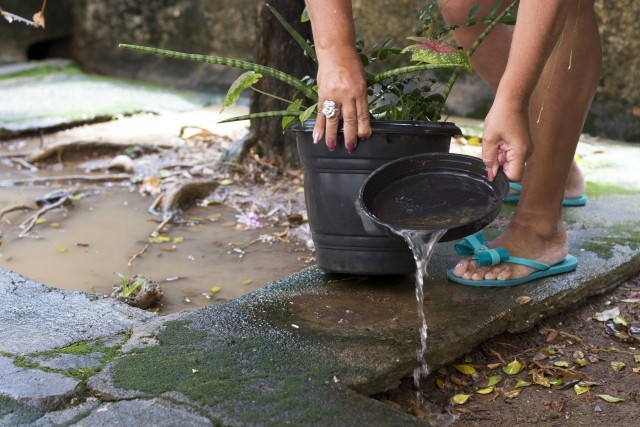 Rafael Mendes