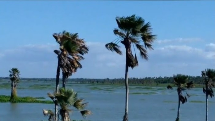 Precabura, maior lagoa da Grande Fortaleza, será transformada em uma unidade de conservação