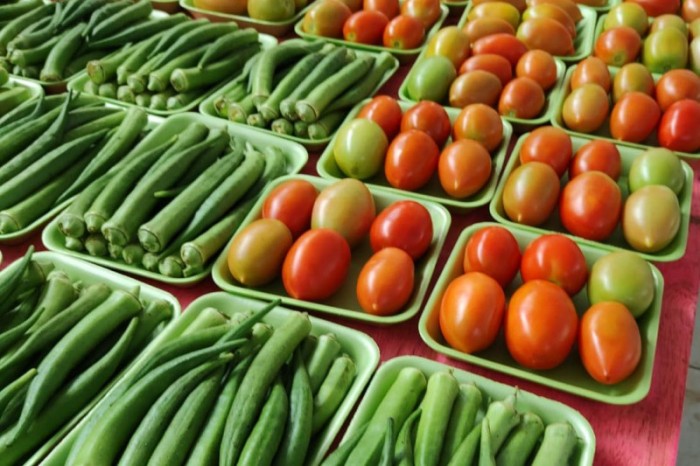 Compras públicas impulsionam produção e consumo de alimentos orgânicos no Paraná