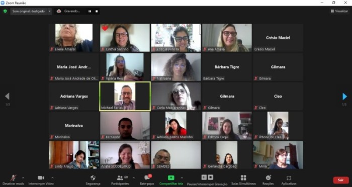 Trabalhadores da Assistência Social, Saúde e Educação participam de webinário do Projeto Crescer sem Violência