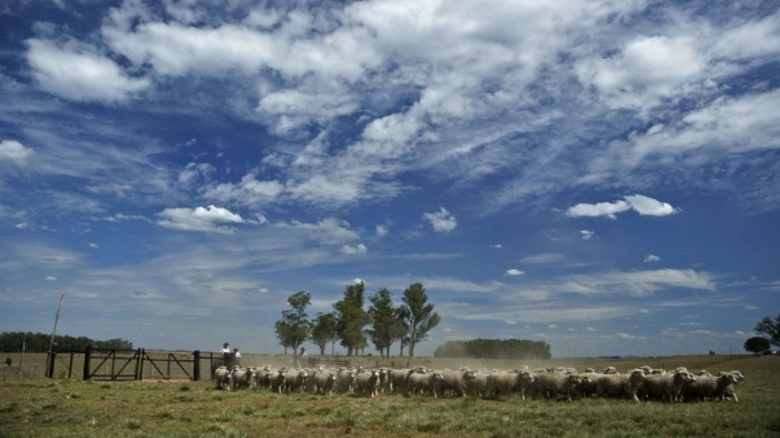 Tempo permanece seco nos próximos dias, sem previsão de chuva