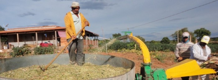 Emater-MG orienta agricultores familiares sobre tecnologia de conservação de forragem