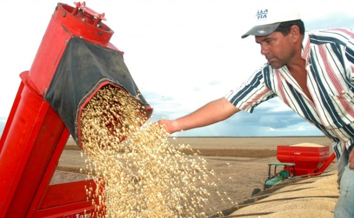 Tocantins é destaque nacional como o Estado que mais deve crescer no agronegócio em 2022