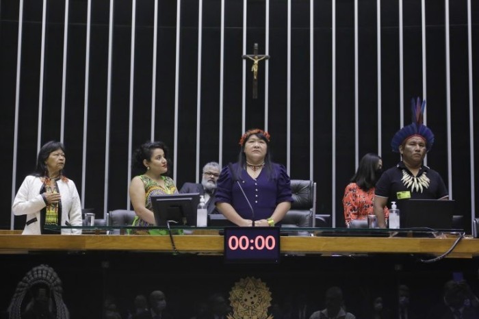 Participantes de sessão solene protestam contra garimpo ilegal em terras indígenas