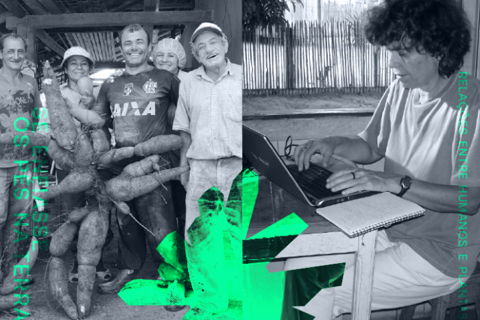 No Mupa, mandioca é tema de debate sobre relação entre natureza e humanidade