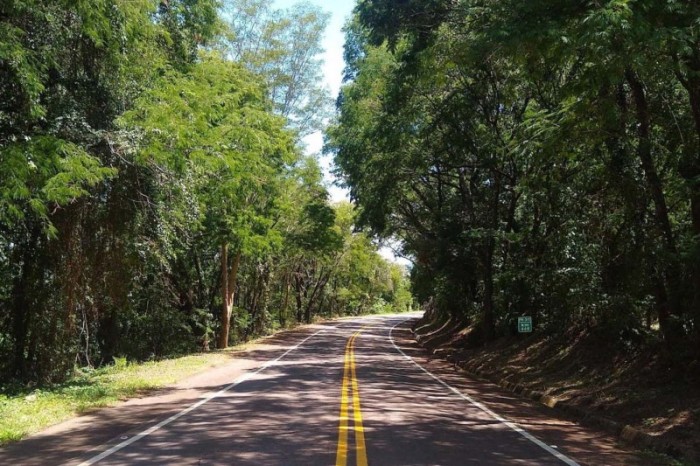 Foto: DER-PARANÁ