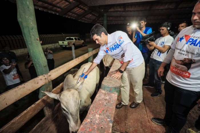 Campanha contra febre aftosa em maio vai abranger 127 municípios