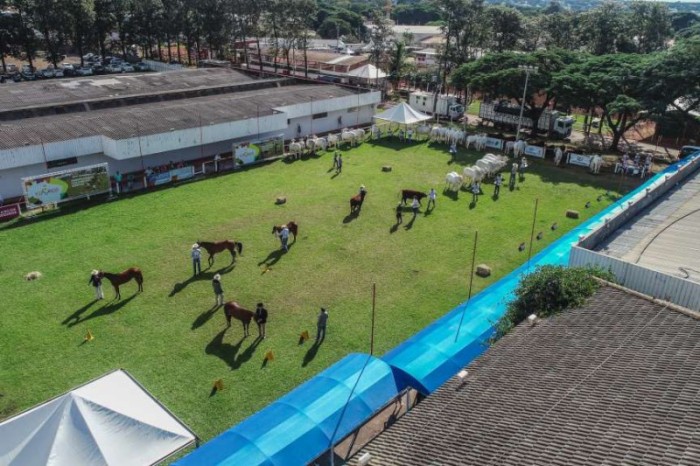 Foto: IDR-PARANÁ
