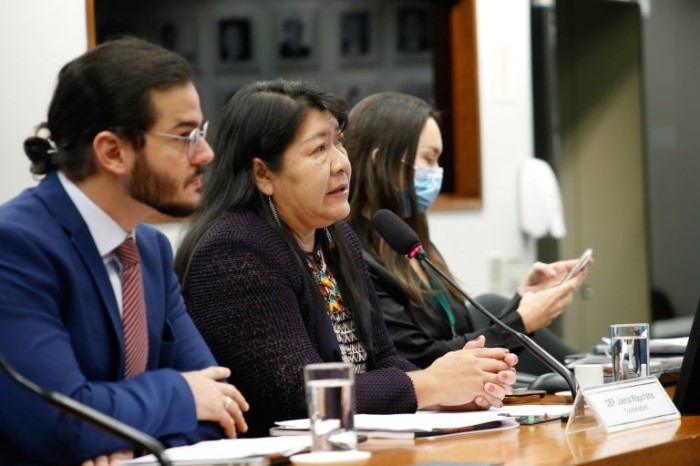 Comissão externa terá diligências e seminário para expor a violência contra o povo ianomâmi