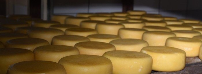 Epamig / Divulgação