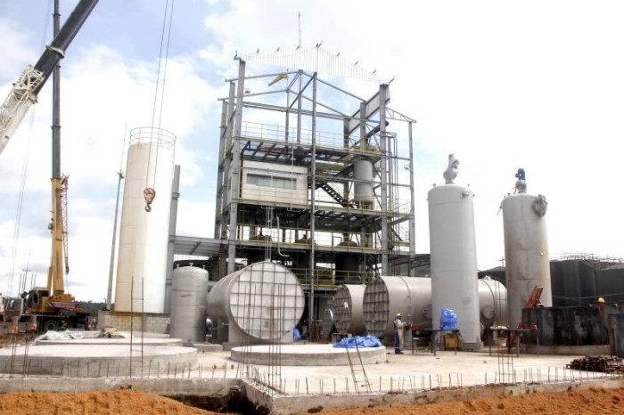 Líder na produção de óleo de palma no País, Pará terá usina de biodiesel