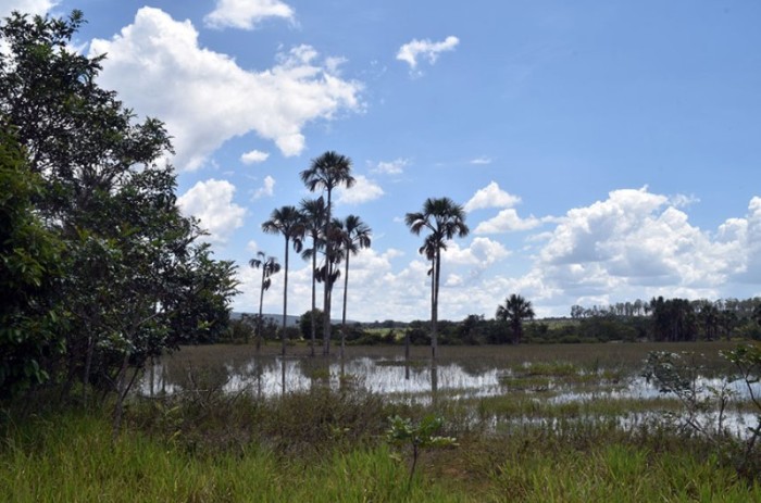 Para o autor do projeto, Jorginho Mello, a medida se justifica pelos ganhos de produtividade que levaria à agricultura brasileira sem a necessidade de expandir a área plantada - Fernando Bizerra/Agência Senado