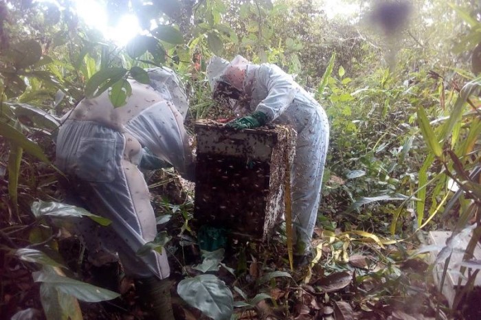 Mil pessoas devem passar pelo estande da Emater na Apipará, em Primavera, neste final de semana