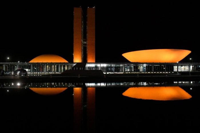 Iluminação laranja do Congresso alerta para risco de extinção de jumentos no Brasil