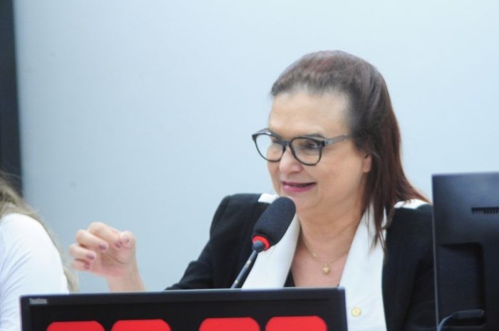 Comissão promove ciclo de palestras sobre cultura e universidades