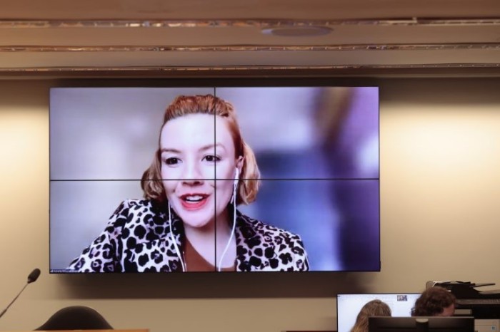 Roberta Rios: regras específicas do Brasil podem prejudicar empresas - (Foto: Rodrigo Pertoti/Câmara dos Deputados)