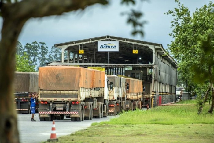 Câmara vai analisar proposta do estado de emergência