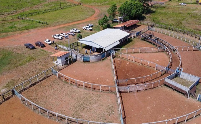 Fazenda possui uma mega estrutura para a criação de gado de corte - Foto: Lincol Filho/Governo do Tocantins