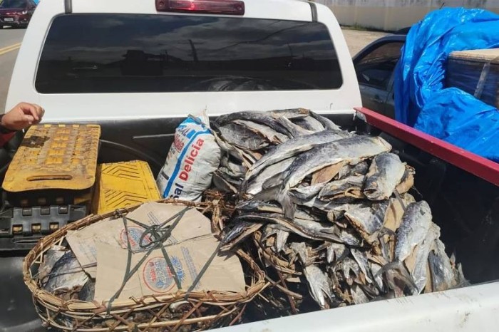 Adepará apreende 120 quilos de peixe sem documentação e inspeção sanitária