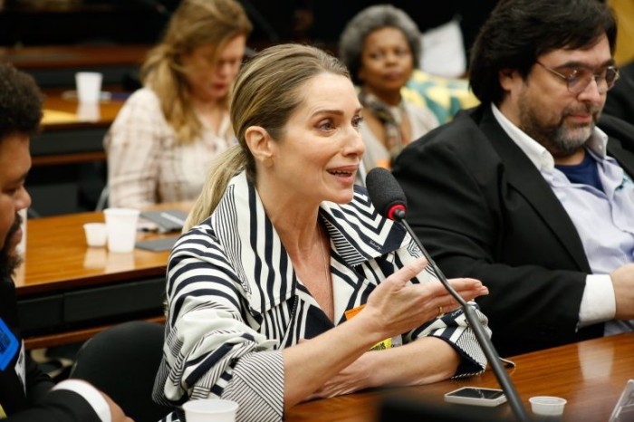 Leticia Spiller: a Cultura gera um PIB de R$ 170 bilhões para o governo - (Foto: Elaine Menke/Câmara do Deputados)