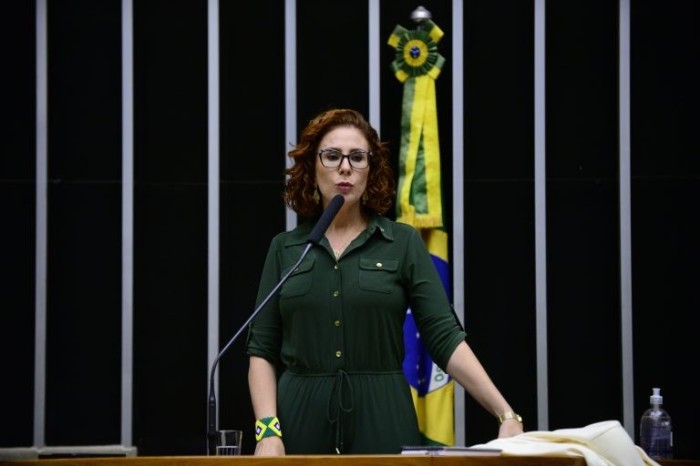 Projeto anistia pessoas enquadradas em crimes de natureza política entre janeiro de 2019 a abril de 2022