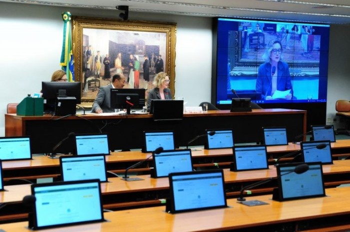 Maria do Rosário: criação da data pode tirar doença da invisibilidade - (Foto: Billy Boss/Câmara dos Deputados)