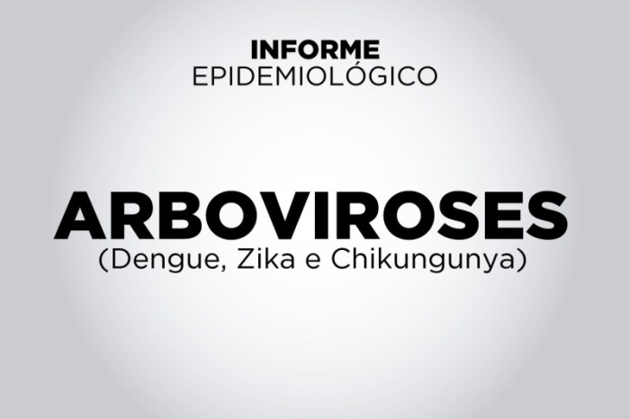 Foto: Reprodução/Secom Paraná