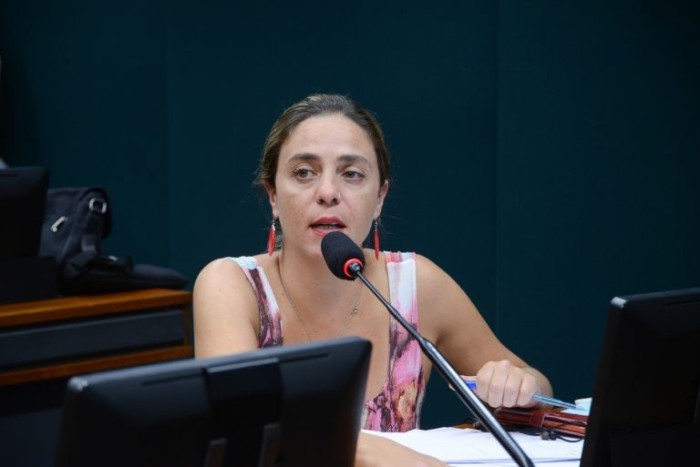 A relatora, deputada Fernanda Melchionna - (Foto: Billy Boss/Câmara dos Deputados)