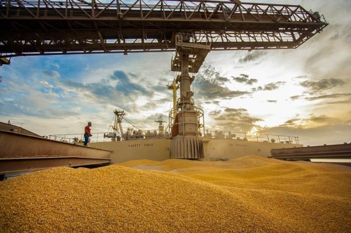 Projeto quer evitar abusos na exportação de alimentos consumidos por brasileiros - (Foto: Cláudio Neves/Portos do Paraná)