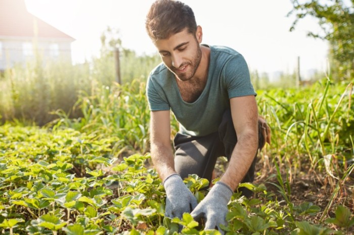 Projeto de lei propõe Bolsa Agro Estudantil para alunos de colégios agrícolas / Créditos: Freepik