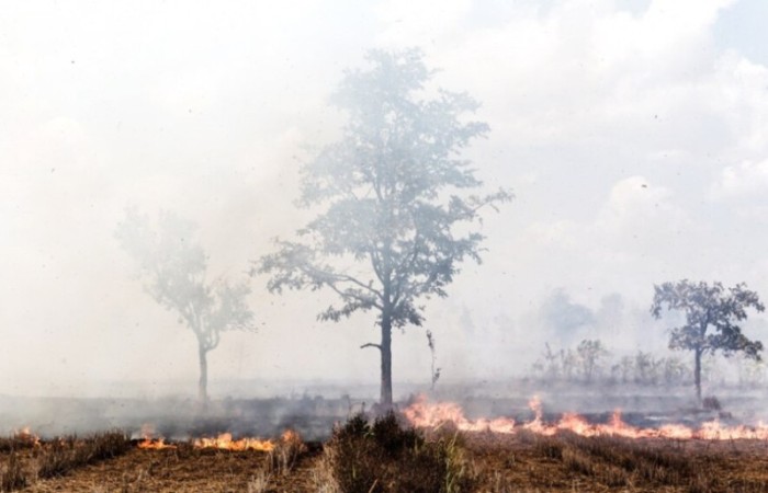 Agosto também é o mês de prevenção e combate aos incêndios e queimadas. / Créditos: Freepik