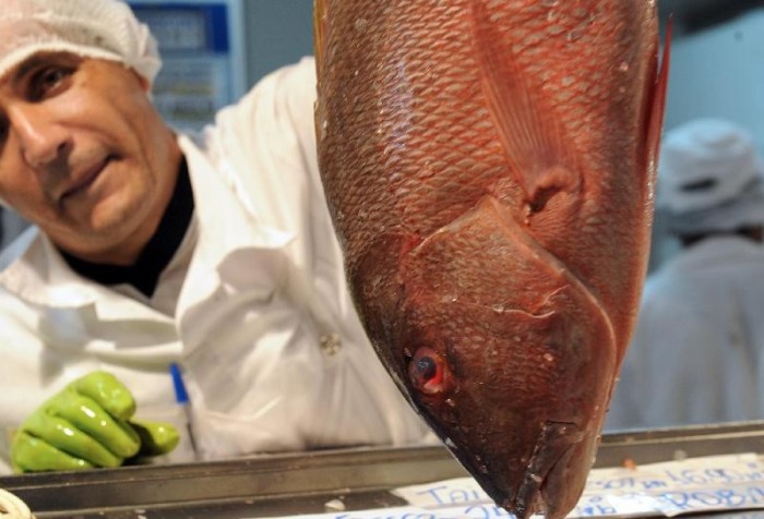 © Arquivo/Elza Fiúza/Agência Brasil