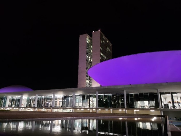 Prédios públicos serão iluminados de lilás durante a campanha - (Foto: Pierre Triboli/Câmara dos Deputados)