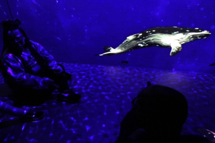 Exposição imersiva Oceano sem Fronteiras estreia no AquaRio
