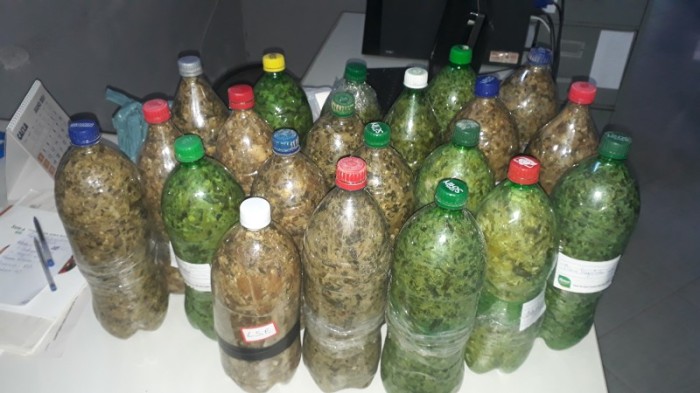 Emater-MG / Divulgação