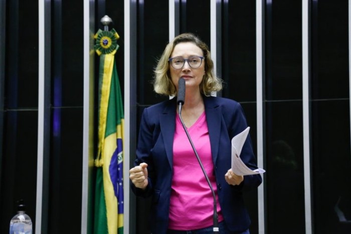 A relatora da proposta, deputada Maria do Rosário - (Foto: Elaine Menke/Câmara do Deputados)