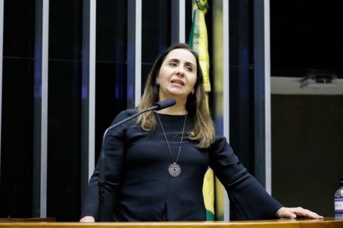 Adriana Ventura, relatora da MP - (Foto: Elaine Menke/Câmara do Deputados)