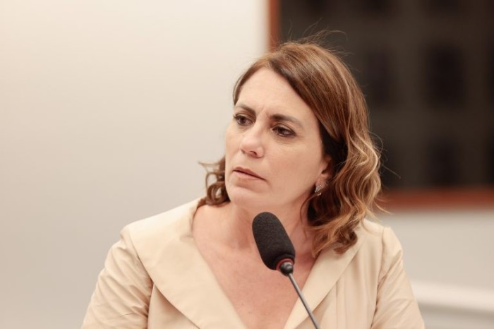 Rosana Valle incluiu no texto alterações propostas pela SPU - (Foto: Rodrigo Pertote/Câmara dos Deputados)