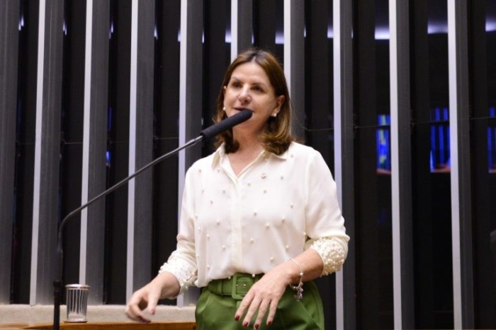 Carmen Zanotto, relatora, recomendou a aprovação da proposta - (Foto: Wesley Amaral/Câmara dos Deputados)