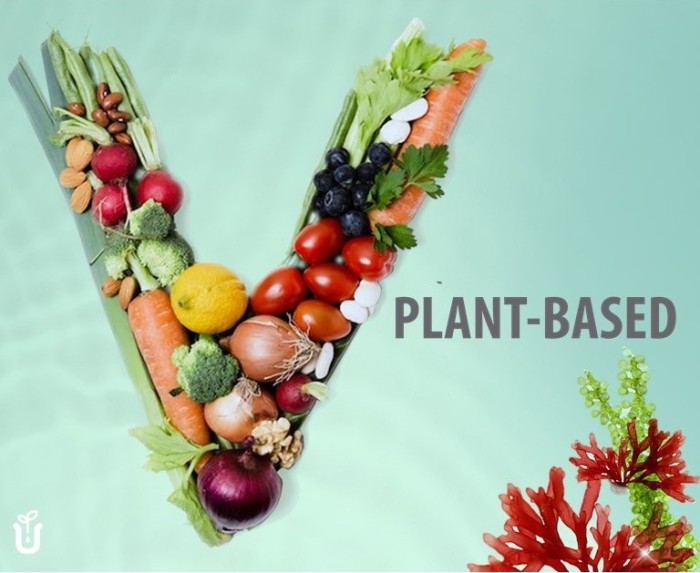 Divulgação - Cia da Natureza