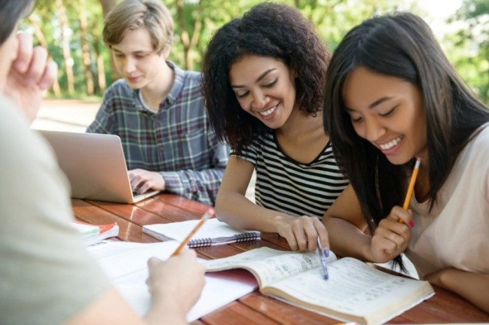 Programa de Apoio à Fixação de Jovens Doutores no Brasil é aberto no Espírito Santo