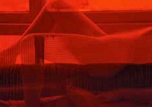 Exposição sobre Leila Reinert será aberta na Funarte SP - (Foto: divulgação)