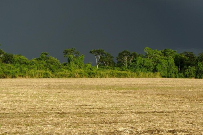 Foto: IDR-Paraná
