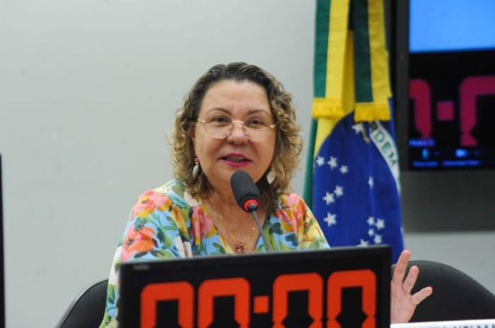 Tereza Nelma, procuradora da mulher - (Foto: Billy Boss/Câmara dos Deputados)