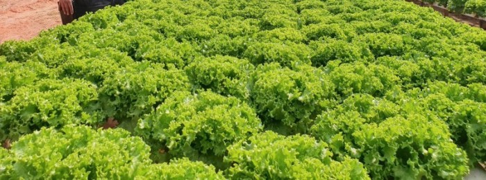 Humberto Trajano / Seplag