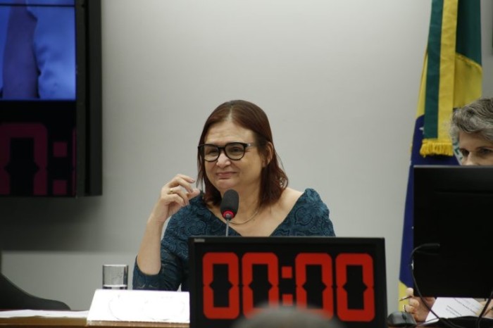 Rosa Neide: a cultura é um setor multiplicador de renda - (Foto: Elaine Menke/Câmara dos Deputados)