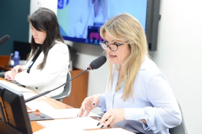 Texto aprovado é substitutivo de Flávia Morais - (Foto: Wesley Amaral/Câmara dos Deputados)