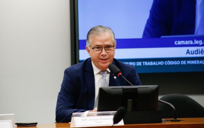 Joaquim Passarinho: aprovação tácita pode viabilizar projeto com alto índice de contaminação - (Foto: Elaine Menke/ Câmara dos Deputados)