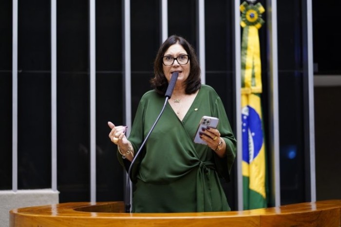 Bia Kicis, relatora do projeto - (Foto: Pablo Valadares/Câmara do Deputados)