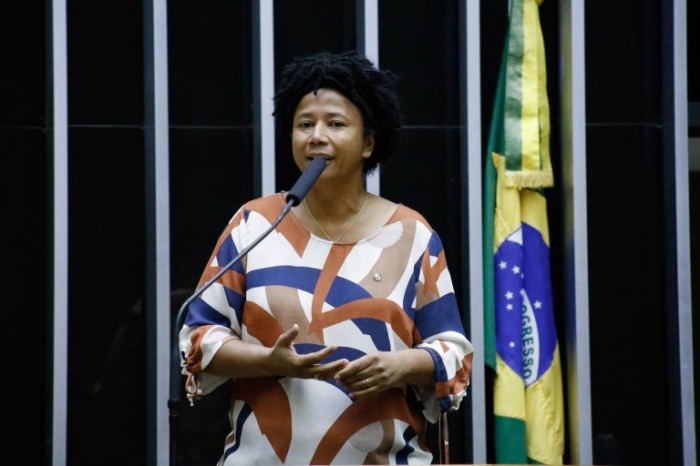 A relatora da proposta, deputada Silvia Cristina - (Foto: Elaine Menke/Câmara do Deputados)